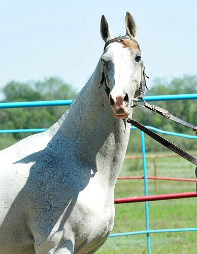 397206_473866609302841_900738860_n