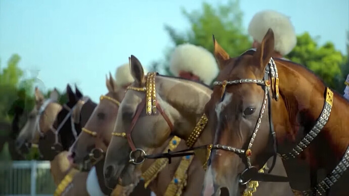 VS--YouTube-ArtofAkhal-Tekehorsebreedingandtraditionsofhorsesdecoration-5’19”