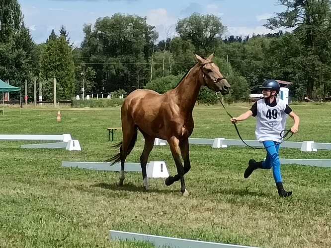 452892039_8663585917003813_4314488432778313059_n