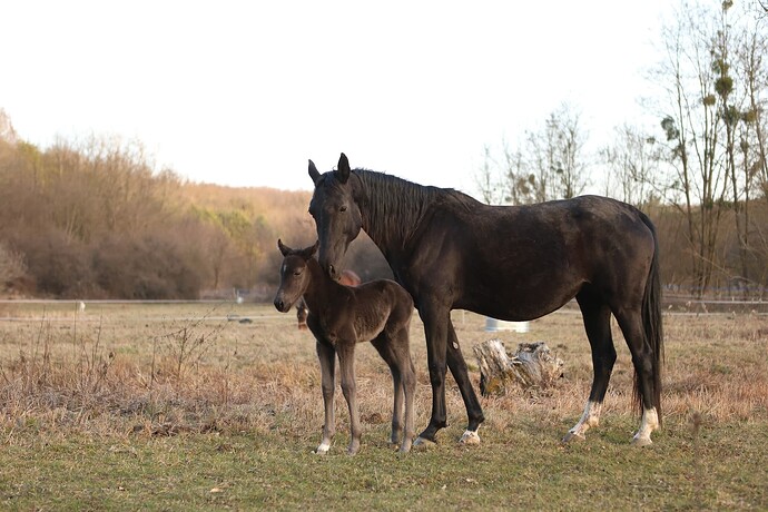 481076174_9267826610004654_4823621755036622524_n