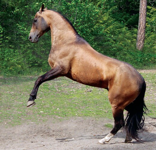 28619234_2099068156786234_4899024970358287325_o