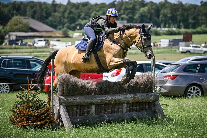 445798983_10161508135601215_2262473242696668947_n