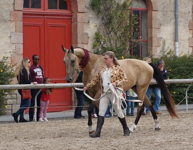 462236174_10234677859477848_7053198153295981901_n