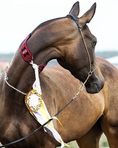 420072910_18407486536024258_1551229592839786880_n