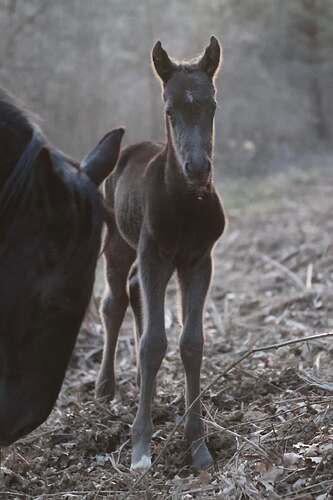 481668705_9261720987281883_3805110231800400793_n