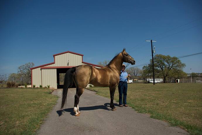 28699246_2098921960134187_97489399691527692_o