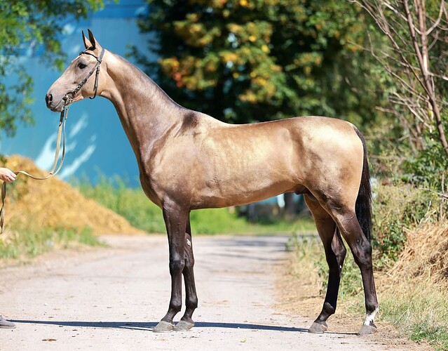 458843671_8580585031964251_5771703798936478433_n