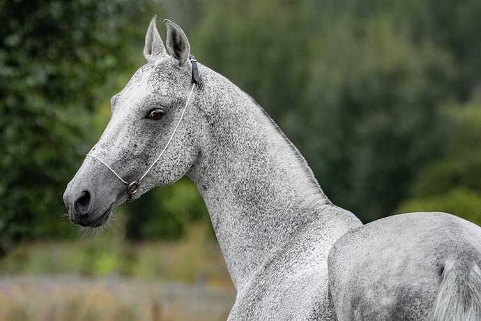 455678002_10219585835714999_8318680939793226864_n