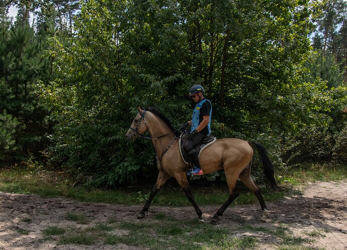 455325331_1279504579995120_6723439674166531534_n