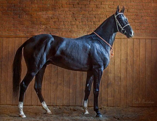 463921190_8340097472775618_189449453231136595_n