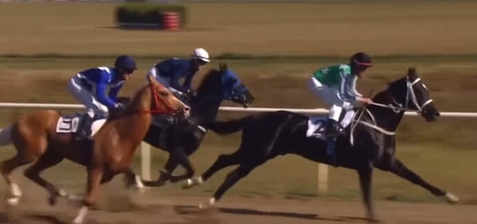 VS--YouTube-TheFastestAkhalTekehorsesthemostbeautifulracehorsesintheworld-11’18”