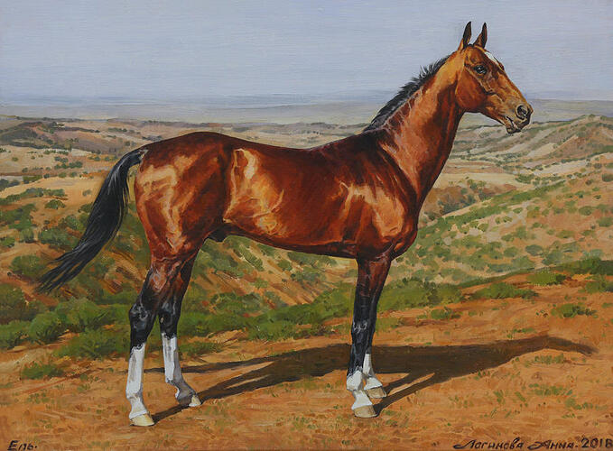 akhal_teke_stallion_el__by_loginova_dcfi5h6-fullview