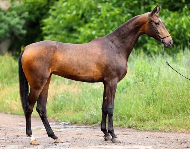 436272371_18431059288024258_9171878908171550984_n