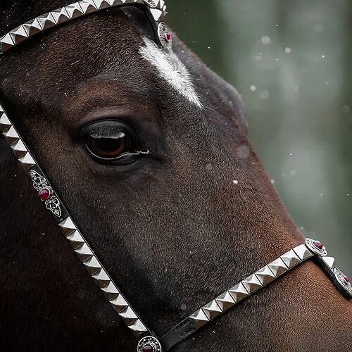 438796081_18414373615066311_3843655305914516861_n