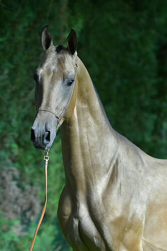 65440550_10219459862144806_1634368749869989888_n