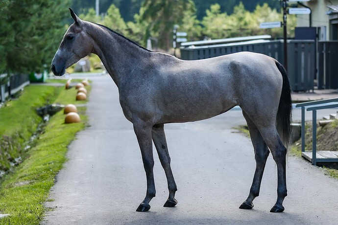 456033240_8454428611244223_1620595577743225908_n