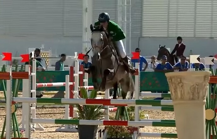 VS--YouTube-ArtofAkhal-Tekehorsebreedingandtraditionsofhorsesdecoration-8’07”