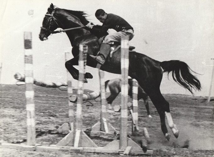 49452255_2181214585234693_5740288859858534400_n