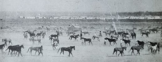 firsthippodromeracing1930s.PNG