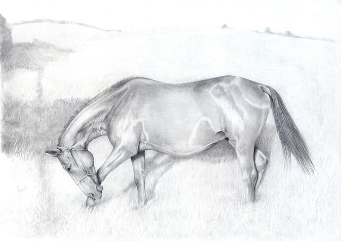 horse_by_littlemonster8_d8dhzc6