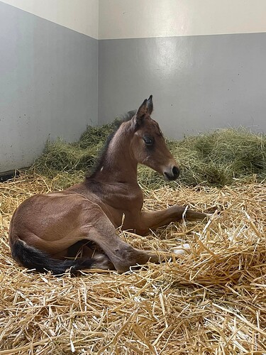 464261293_122170194098247327_8693748387769771501_n