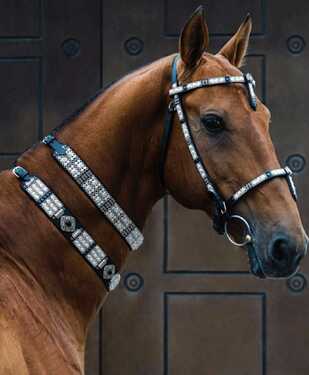 452692129_3382267918736863_4284336507788690994_n