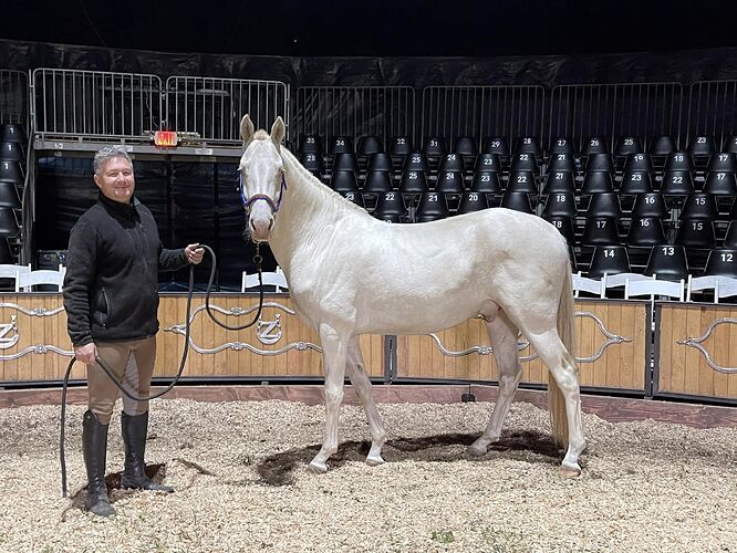 460351048_1037170648415253_288894742060506929_n