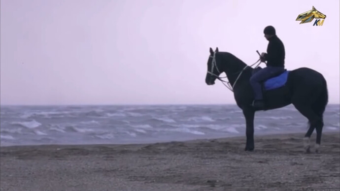 VS--YouTube-TheFastestAkhalTekehorsesthemostbeautifulracehorsesintheworld-10’56” (1)