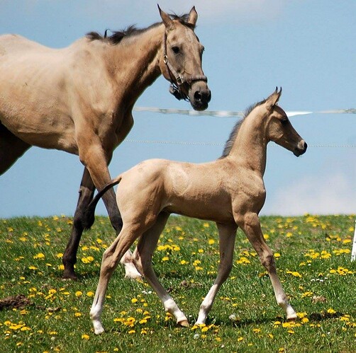 3676_1553084827.6411