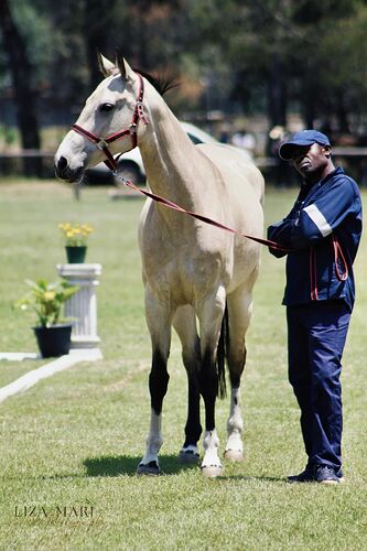 468215334_10160377499541127_3426878004716378213_n