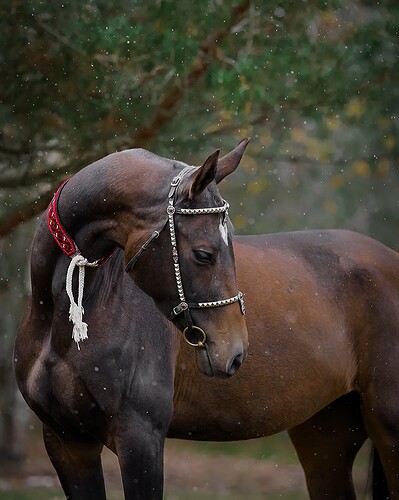 401228443_18394618795024258_7699443761519682722_n