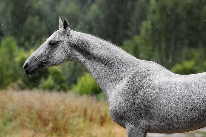 455234655_10219585843355190_5062315037346562603_n