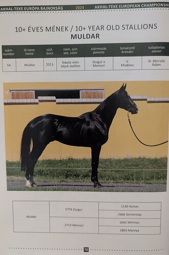 muldar_euchampionship