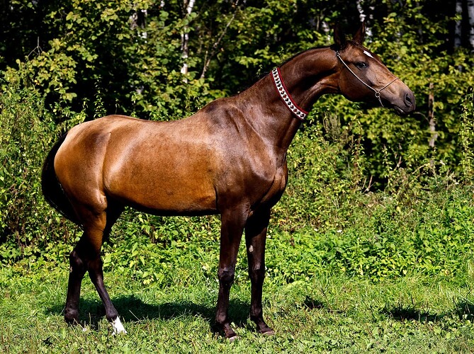 457145874_18451280509024258_5835036350916729125_n