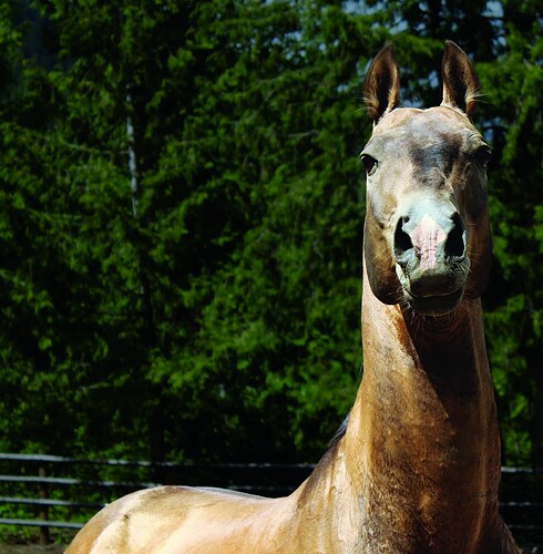 450367471_8719204374772546_3344908730213355778_n