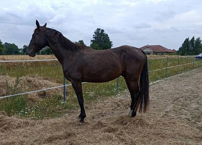 274158880_4779078812190175_2298408341478950552_n1