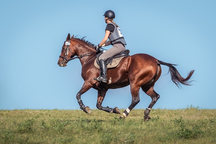 437498718_3572191209762171_778644233870387137_n