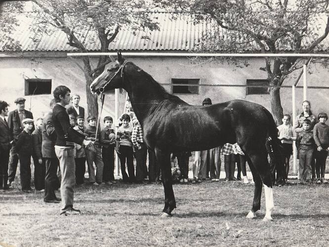 464223713_8934168713272546_2747207304707582075_n