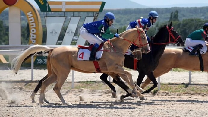 VS--YouTube-TheFastestAkhalTekehorsesthemostbeautifulracehorsesintheworld-3’25”