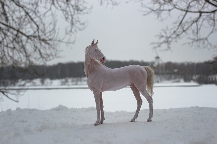 472412090_18074248729641606_6320743429973182014_n