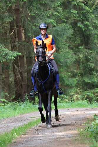 445821272_8364310306931377_4701423213860733016_n