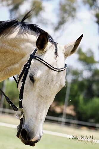 467523870_10160377495511127_427290330693050929_n