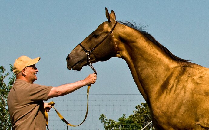 47165642_2496533683706344_4774301958519390208_n