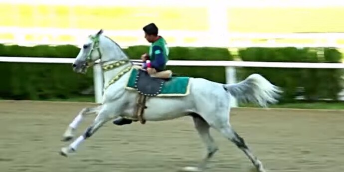 VS--YouTube-ArtofAkhal-Tekehorsebreedingandtraditionsofhorsesdecoration-8’51”
