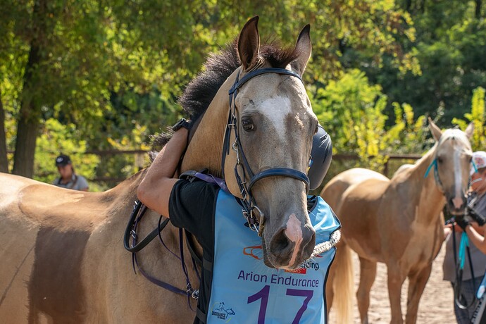 455623860_1279504503328461_5486414627247788376_n