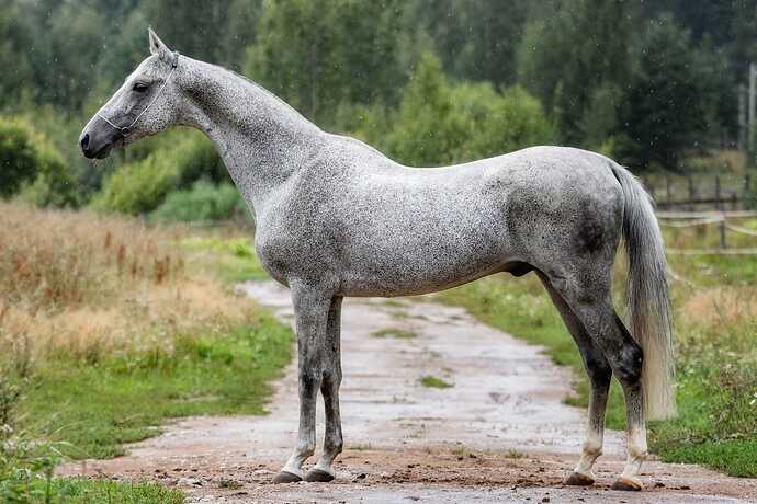 455709622_10219585832354915_8994134091128416529_n