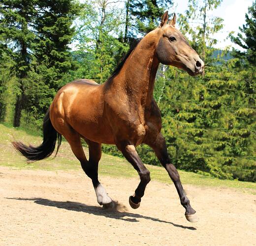 28827195_2098921276800922_6457303359602448582_o