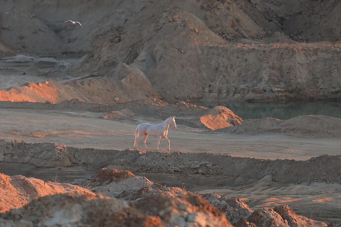 456719399_1596182610939694_5267344246299624528_n