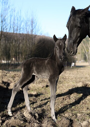 480788648_9267821550005160_7700613922081194346_n