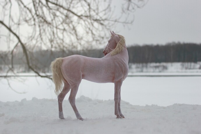 473117457_18074248765641606_6957790071837113536_n